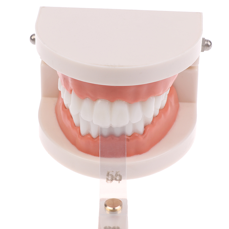 /ACR/Dental Interproximal Redu - Ruler Set Transparent ulasan dan harga